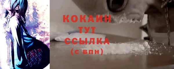 МДПВ Нея