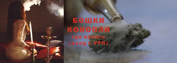 МДПВ Нея