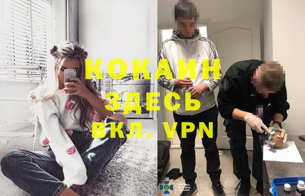МДПВ Нея