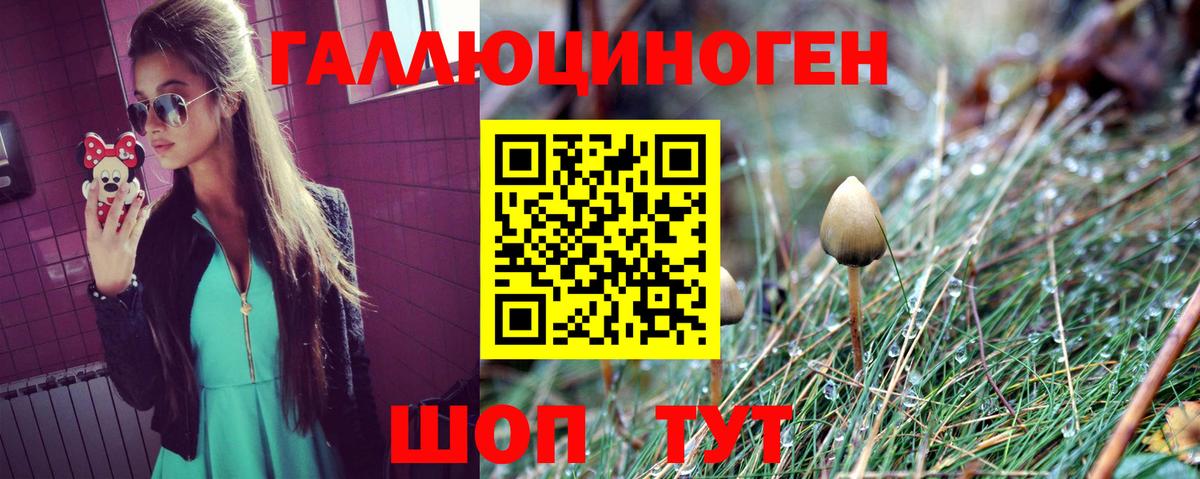 Галлюциногенные грибы Cubensis Новокубанск